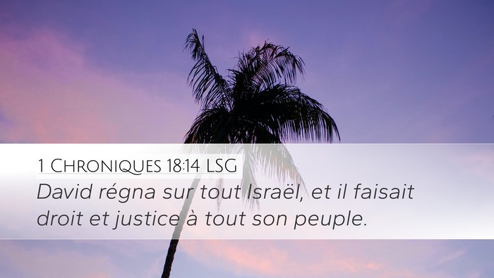 1 Chroniques 18:14 LSG Bible Verse Image