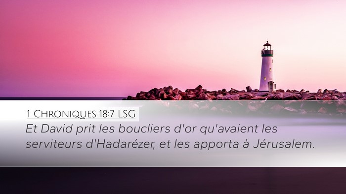 1 Chroniques 18:7 LSG Bible Verse Image