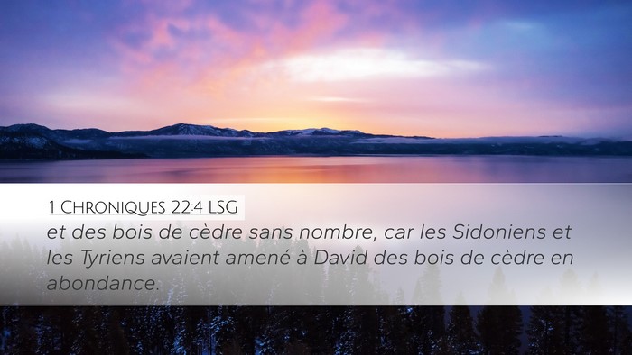 1 Chroniques 22:4 LSG Bible Verse Image