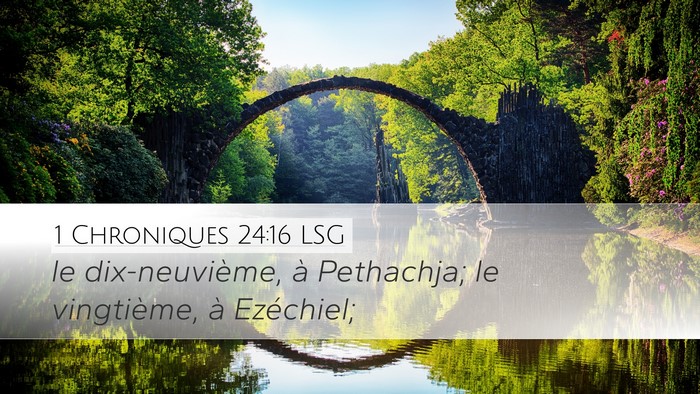1 Chroniques 24:16 LSG Desktop Wallpaper - le dix-neuvième, à Pethachja; le vingtième, à - Desktop Bible Verse Wallpaper