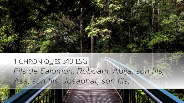 1 Chroniques 3:10 LSG Bible Verse Image