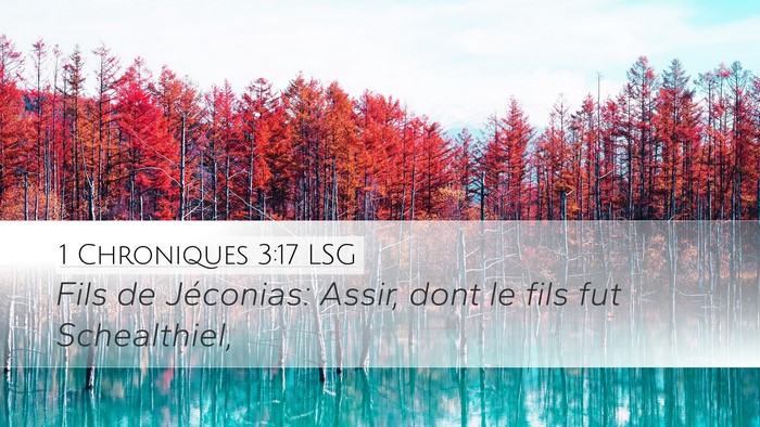 1 Chroniques 3:17 LSG Bible Verse Image
