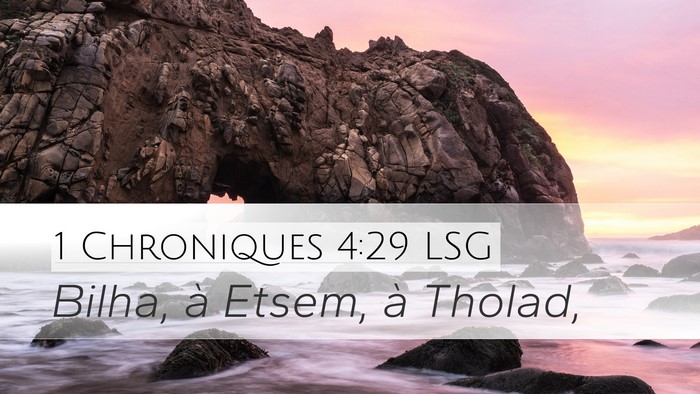 1 Chroniques 4:29 LSG Bible Verse Image