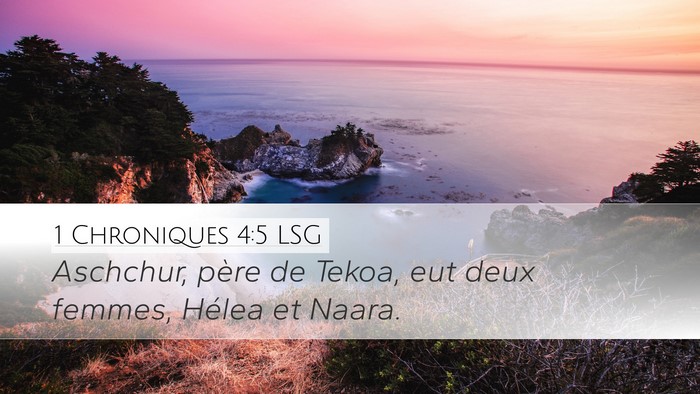 1 Chroniques 4:5 LSG Desktop Wallpaper - Aschchur, père de Tekoa, eut deux femmes, Hélea - Desktop Bible Verse Wallpaper