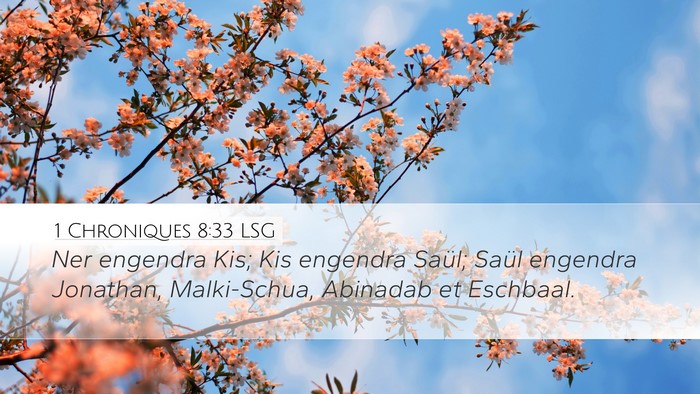 1 Chroniques 8:33 LSG Bible Verse Image
