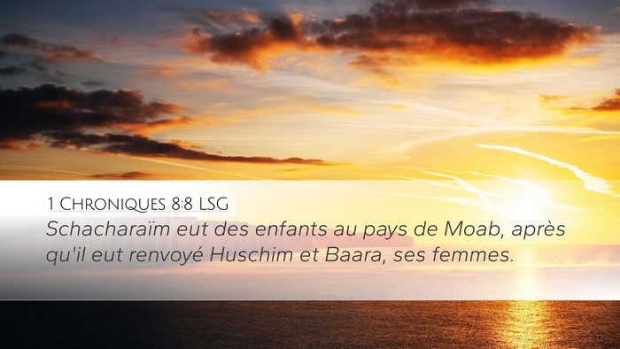 1 Chroniques 8:8 LSG Bible Verse Image