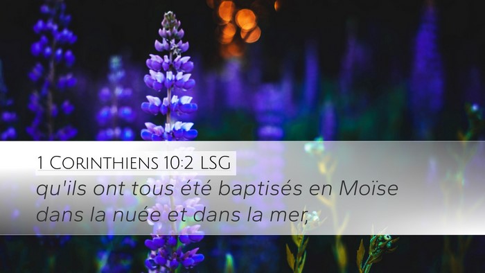 1 Corinthiens 10:2 LSG Desktop Wallpaper - qu'ils ont tous été baptisés en Moïse dans la - Desktop Bible Verse Wallpaper