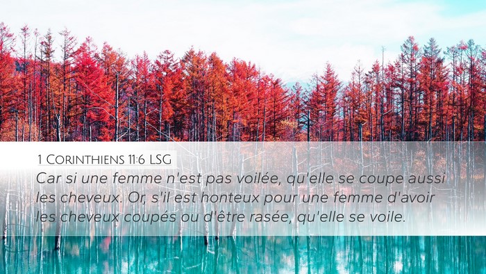 1 Corinthiens 11:6 LSG Desktop Wallpaper - Car si une femme n'est pas voilée, qu'elle se - Desktop Bible Verse Wallpaper
