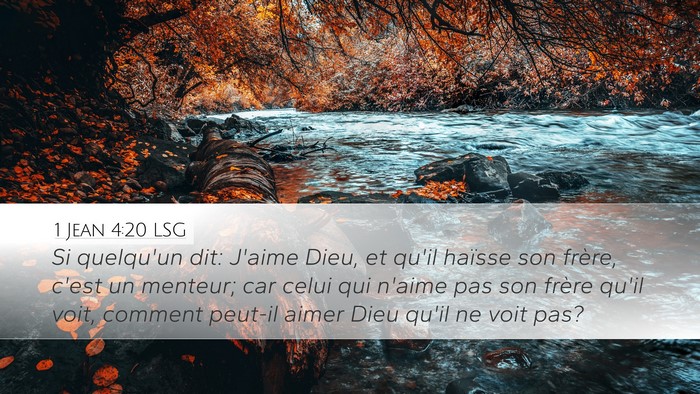 1 Jean 4:20 LSG Bible Verse Image