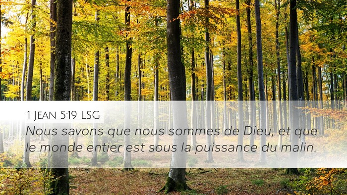 1 Jean 5:19 LSG Bible Verse Image