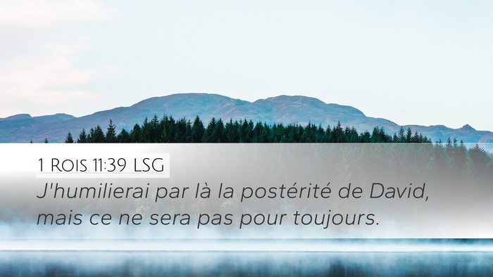 1 Rois 11:39 LSG Desktop Wallpaper - J'humilierai par là la postérité de David, - Desktop Bible Verse Wallpaper