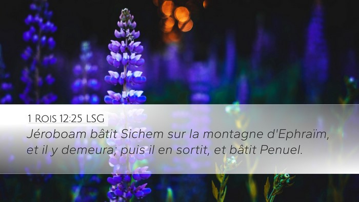 1 Rois 12:25 LSG Bible Verse Image