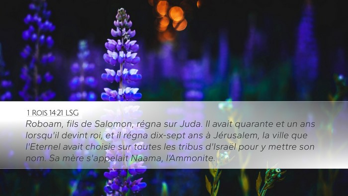 1 Rois 14:21 LSG Bible Verse Image