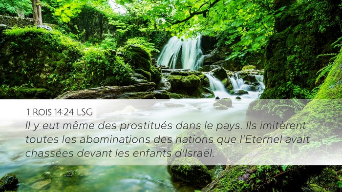 1 Rois 14:24 LSG Bible Verse Image