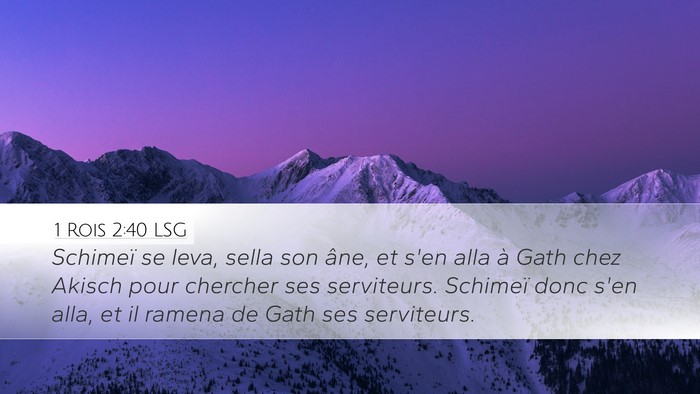 1 Rois 2:40 LSG Desktop Wallpaper - Schimeï se leva, sella son âne, et s'en alla à - Desktop Bible Verse Wallpaper