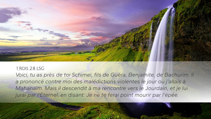 1 Rois 2:8 LSG Bible Verse Image