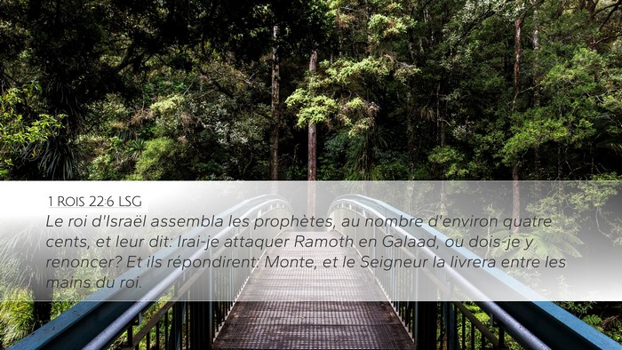 1 Rois 22:6 LSG Bible Verse Image