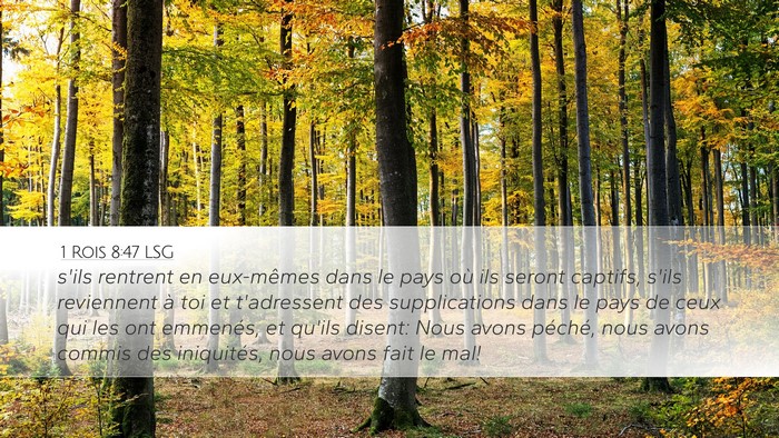 1 Rois 8:47 LSG Bible Verse Image