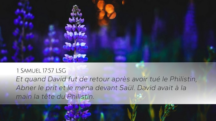 1 Samuel 17:57 LSG Desktop Wallpaper - Et quand David fut de retour après avoir tué le - Desktop Bible Verse Wallpaper