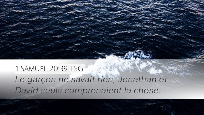 1 Samuel 20:39 LSG Desktop Wallpaper - Le garçon ne savait rien; Jonathan et David - Desktop Bible Verse Wallpaper