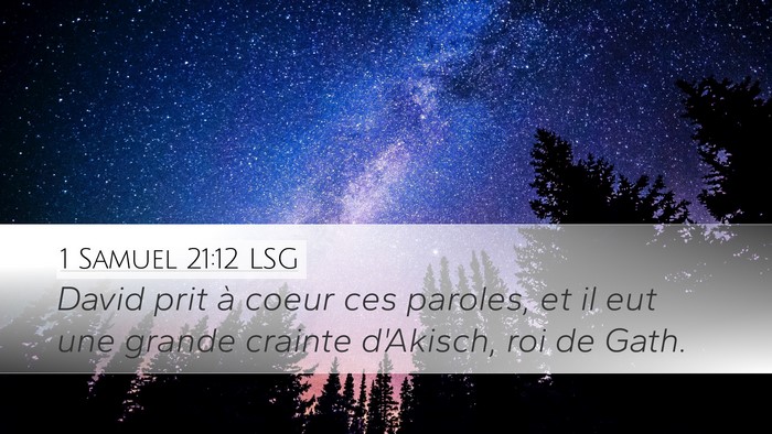 1 Samuel 21:12 LSG Desktop Wallpaper - David prit à coeur ces paroles, et il eut une - Desktop Bible Verse Wallpaper