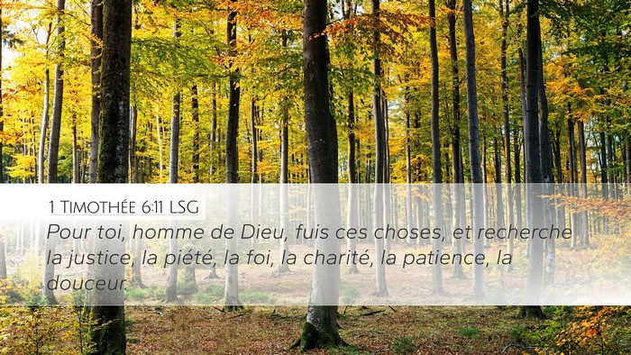 1 Timothée 6:11 LSG Bible Verse Image