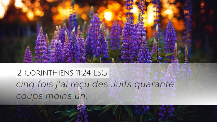 2 Corinthiens 11:24 LSG Desktop Wallpaper - cinq fois j'ai reçu des Juifs quarante coups - Desktop Bible Verse Wallpaper