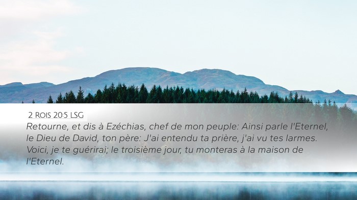 2 Rois 20:5 LSG Bible Verse Image