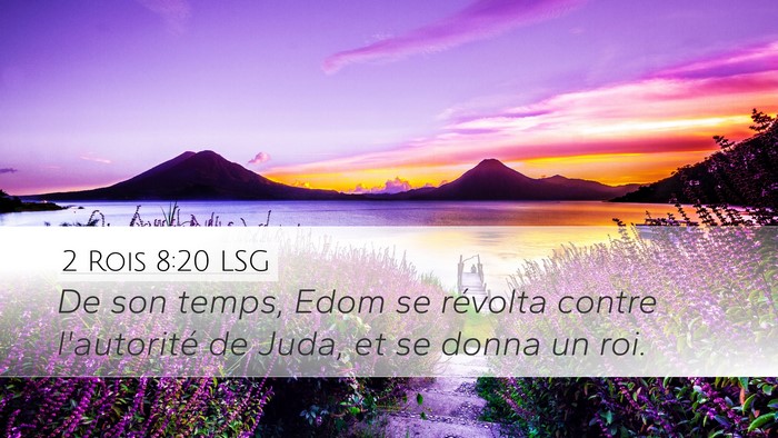 2 Rois 8:20 LSG Bible Verse Image