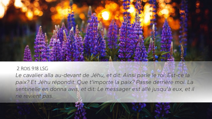 2 Rois 9:18 LSG Bible Verse Image