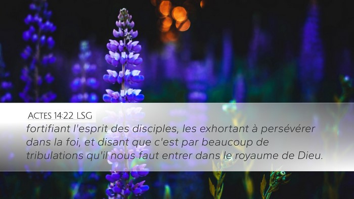 Actes 14:22 LSG Bible Verse Image