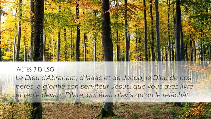 Actes 3:13 LSG Bible Verse Image