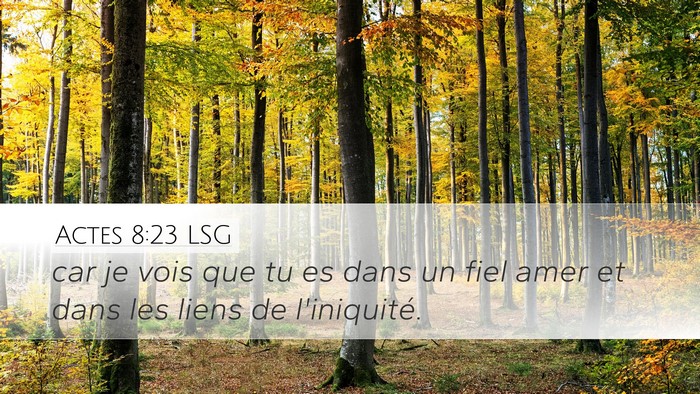 Actes 8:23 LSG Bible Verse Image