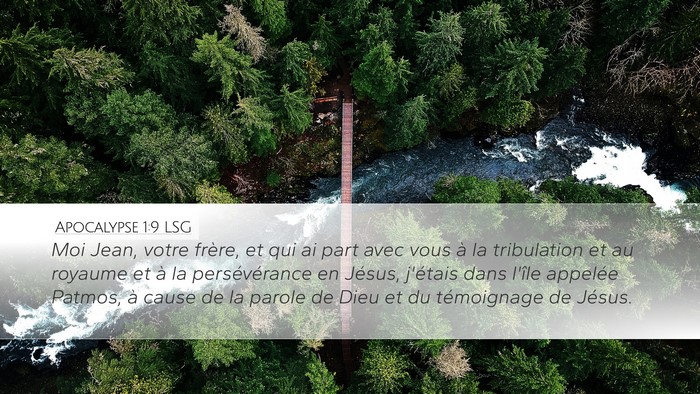 Apocalypse 1:9 LSG Bible Verse Image