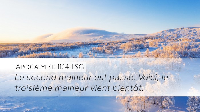 Apocalypse 11:14 LSG Bible Verse Image