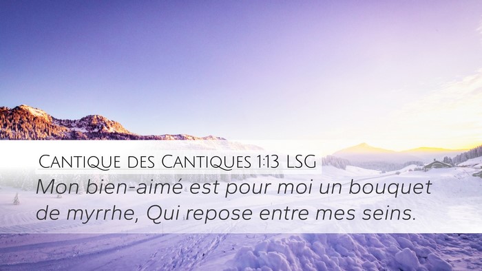 Cantique des Cantiques 1:13 LSG Bible Verse Image