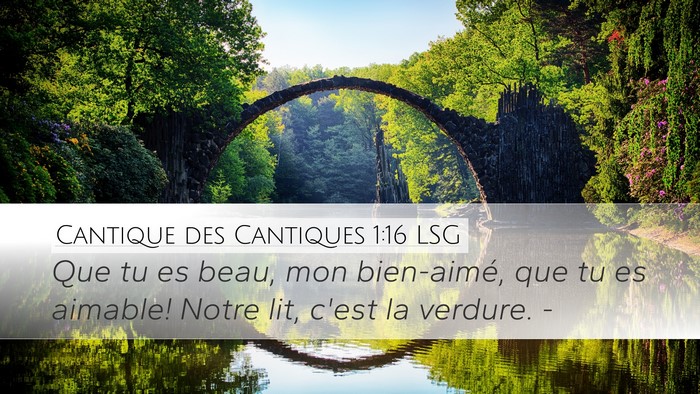 Cantique des Cantiques 1:16 LSG Bible Verse Image