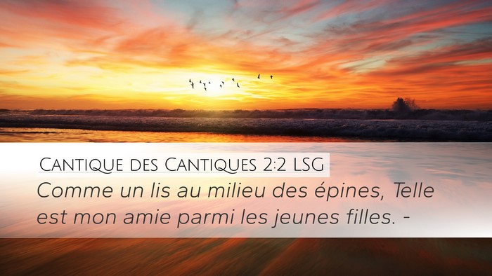 Cantique des Cantiques 2:2 LSG Bible Verse Image