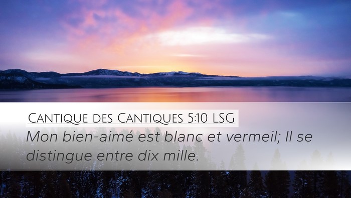 Cantique des Cantiques 5:10 LSG Bible Verse Image