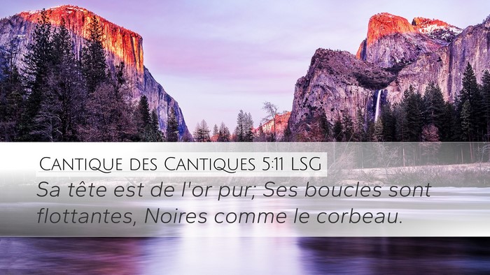 Cantique des Cantiques 5:11 LSG Bible Verse Image