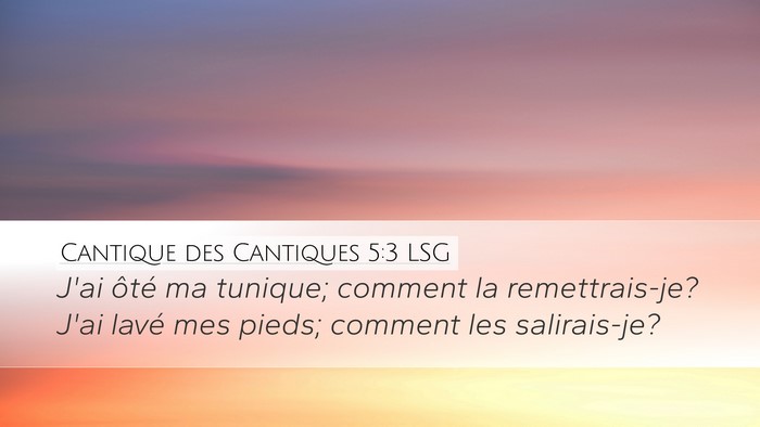 Cantique des Cantiques 5:3 LSG Desktop Wallpaper - J'ai ôté ma tunique; comment la remettrais-je? - Desktop Bible Verse Wallpaper