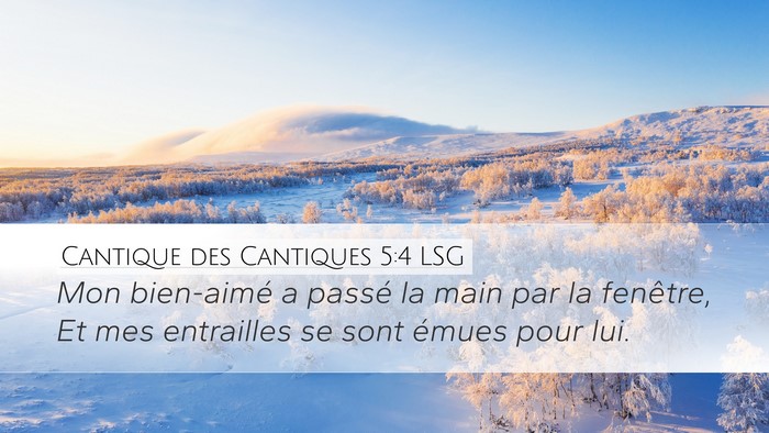 Cantique des Cantiques 5:4 LSG Desktop Wallpaper - Mon bien-aimé a passé la main par la fenêtre, - Desktop Bible Verse Wallpaper