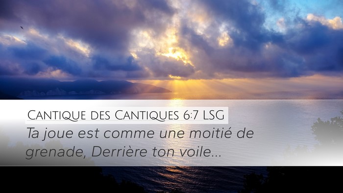 Cantique des Cantiques 6:7 LSG Desktop Wallpaper - Ta joue est comme une moitié de grenade, - Desktop Bible Verse Wallpaper