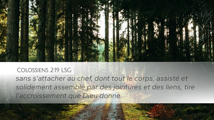 Colossiens 2:19 LSG Bible Verse Image