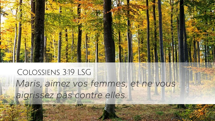 Colossiens 3:19 LSG Desktop Wallpaper - Maris, aimez vos femmes, et ne vous aigrissez pas - Desktop Bible Verse Wallpaper