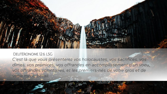 Deutéronome 12:6 LSG Bible Verse Image