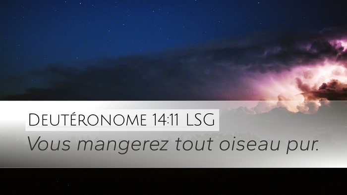 Deutéronome 14:11 LSG Desktop Wallpaper - Vous mangerez tout oiseau - Desktop Bible Verse Wallpaper
