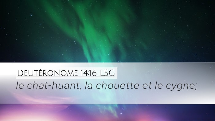 Deutéronome 14:16 LSG Desktop Wallpaper - le chat-huant, la chouette et le - Desktop Bible Verse Wallpaper