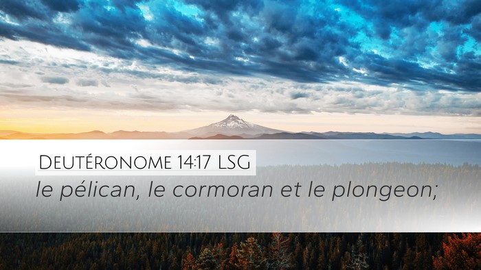 Deutéronome 14:17 LSG Desktop Wallpaper - le pélican, le cormoran et le - Desktop Bible Verse Wallpaper