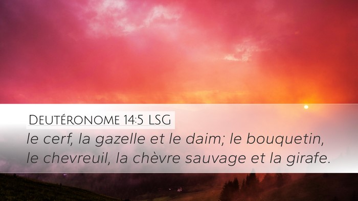 Deutéronome 14:5 LSG Bible Verse Image